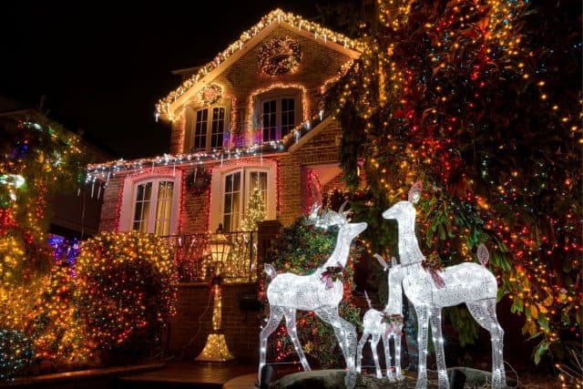 Tour Contrastes de Nueva York y Luces de Dyker Heights